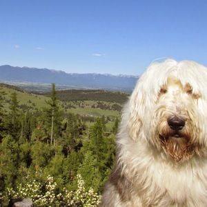 Meet your Posher, Jen